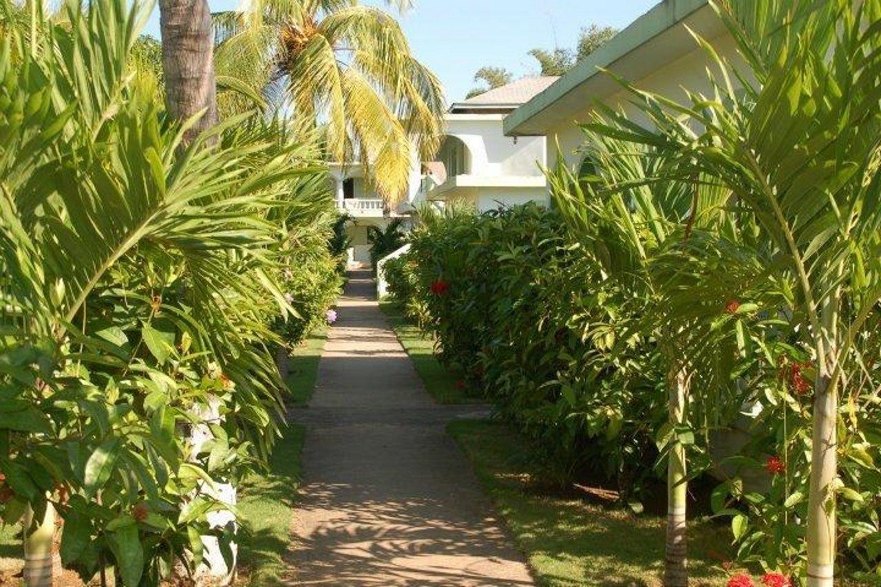 Hidden Paradise Resort Hotel Negril Exterior photo